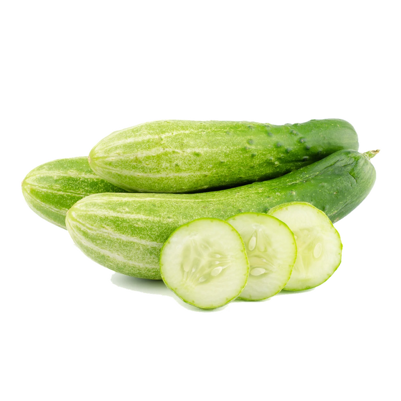 Cucumber