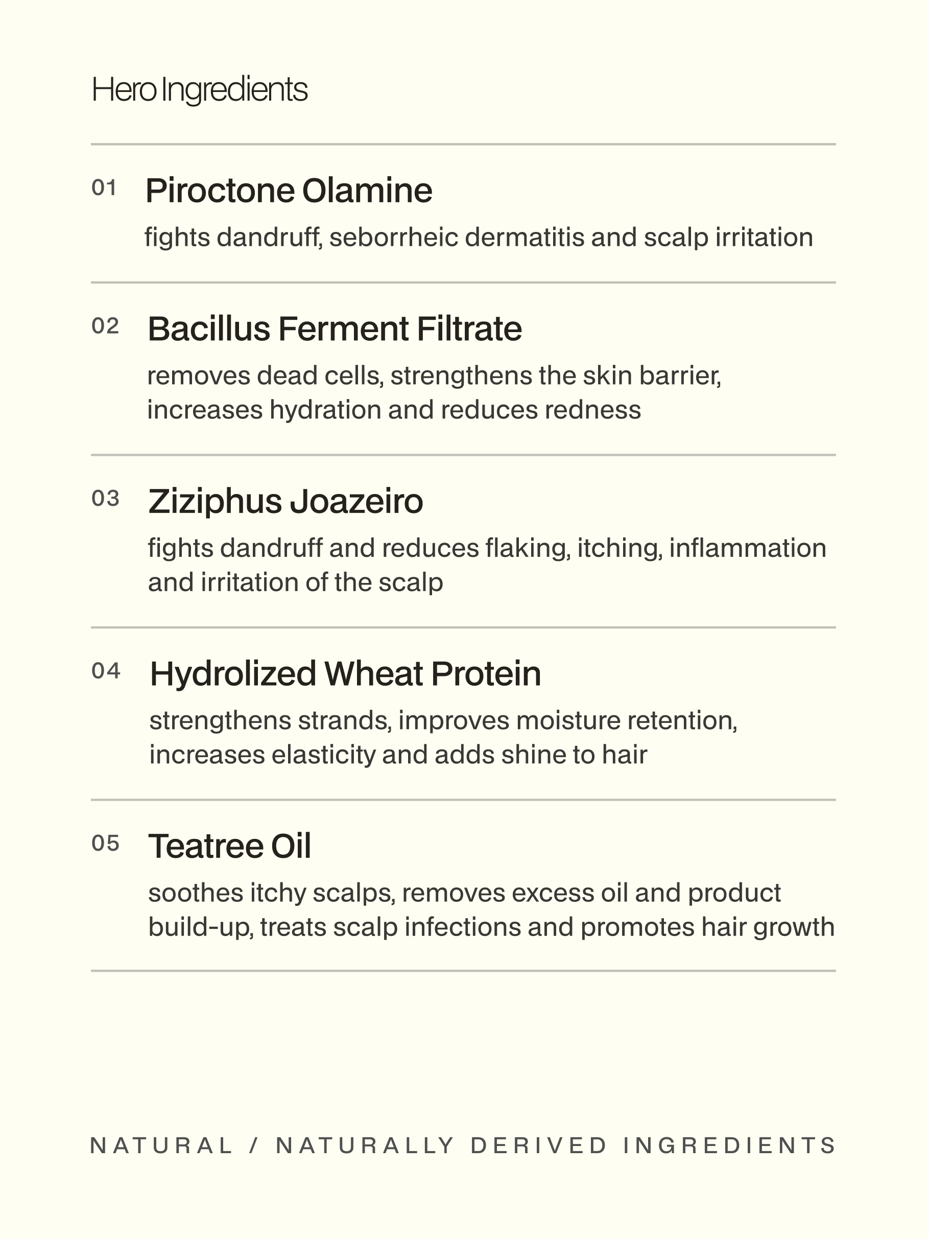 Dandruff Control Shampoo + Conditioner