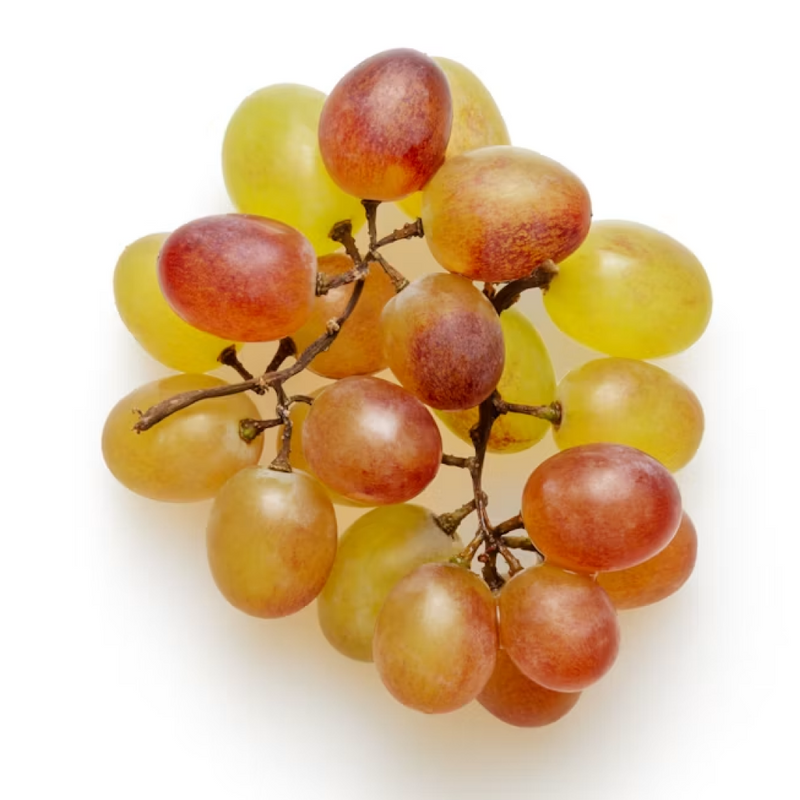Grapeseed