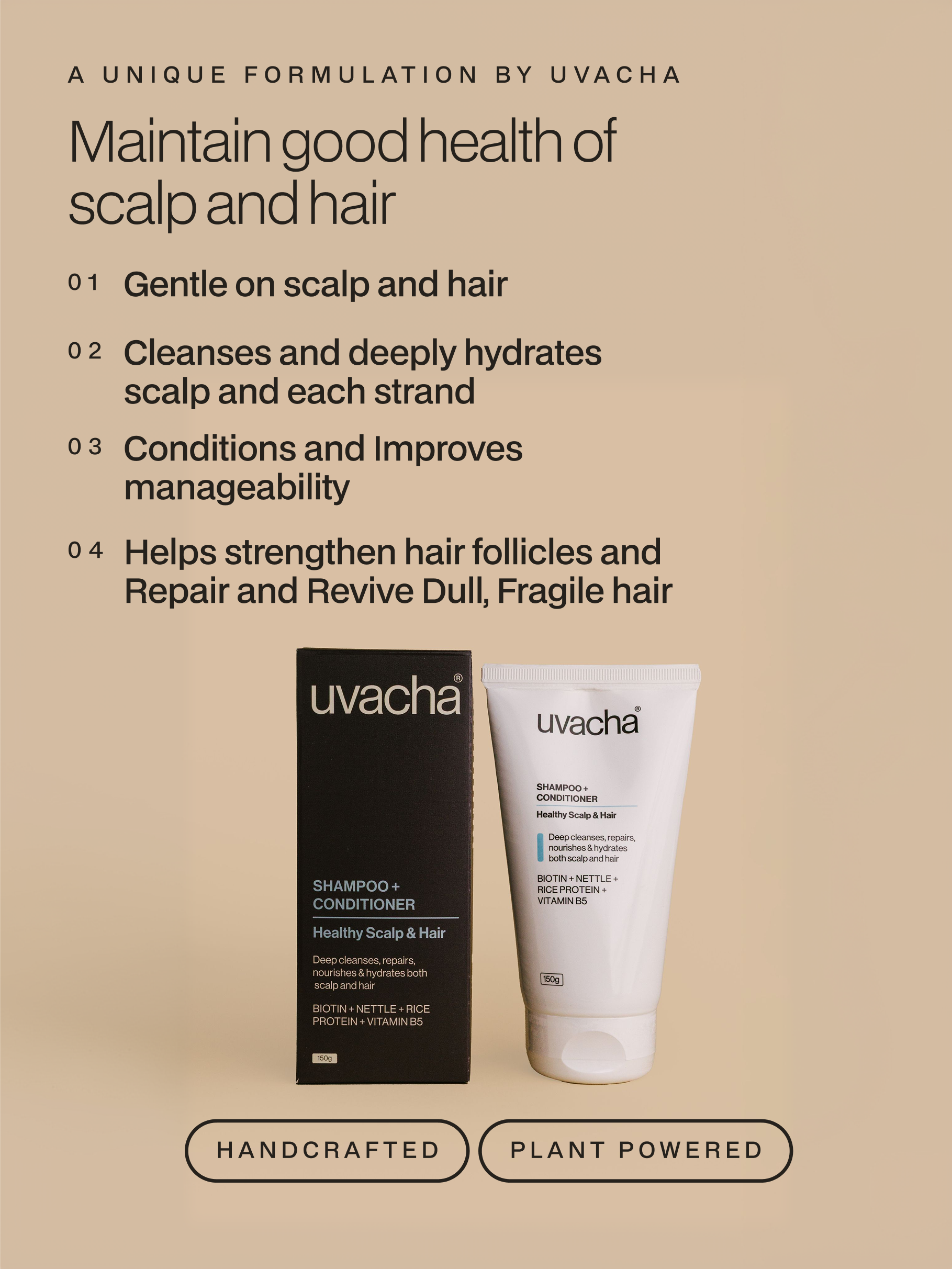 Healthy Scalp and Hair Shampoo + Conditioner
