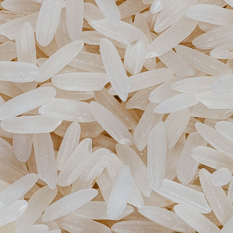 Rice Protein