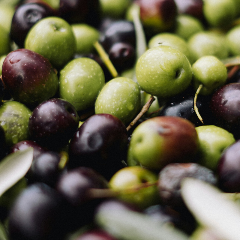 Olive Squalane