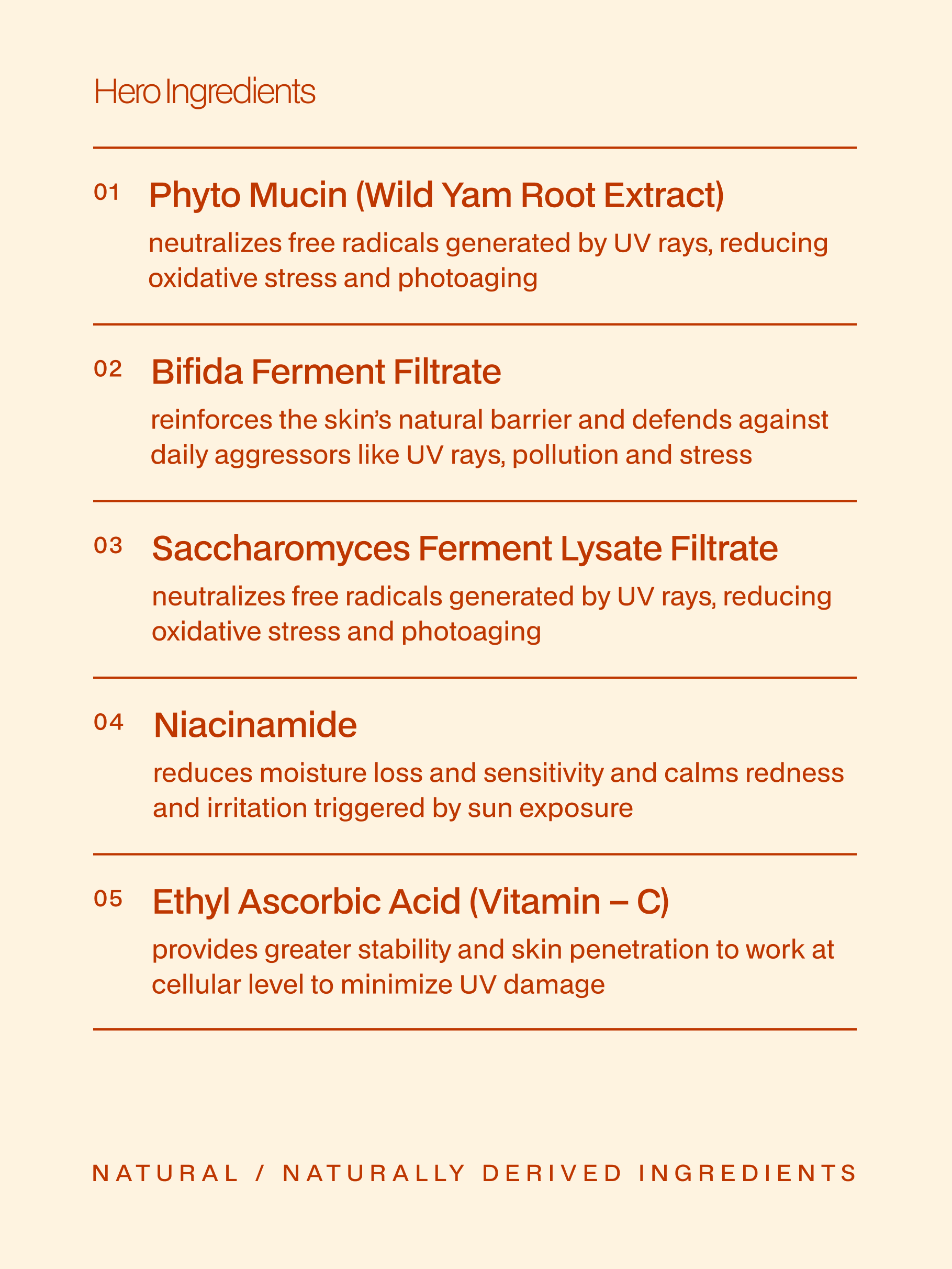 Sunscreen – SPF50 PA++++ Cream