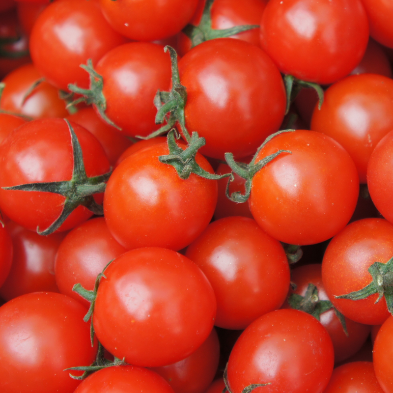 Tomato